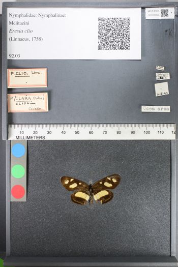 Media type: image;   Entomology 101056